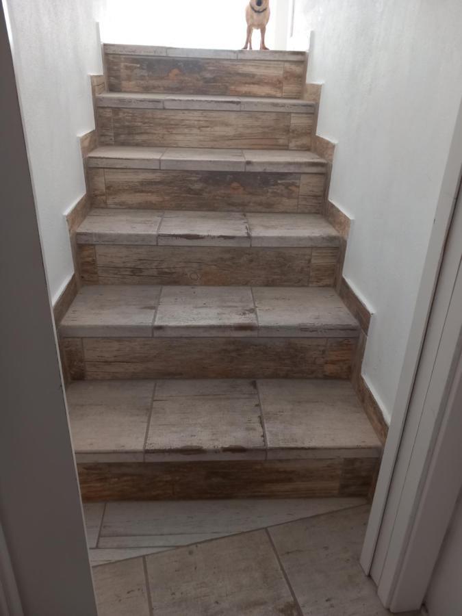 O Quintal Guesthouse Carvoeiro  Dış mekan fotoğraf